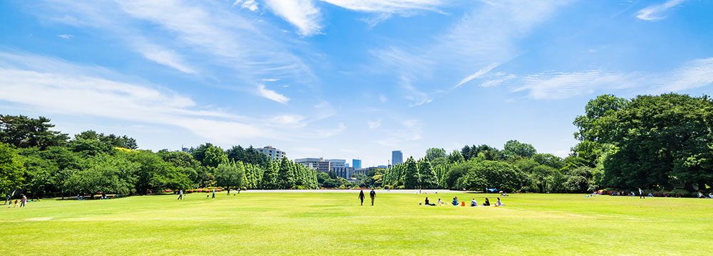 pixta_23477357_M